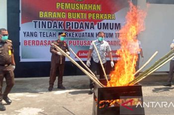 Kejari Agam musnahkan barang bukti narkotika yang kasusnya telah inkracht