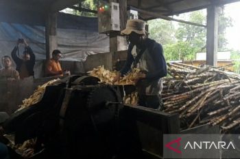 Sentuhan "CINTA" PLN membuat kilang tebu rakyat bertransformasi ke energi listrik