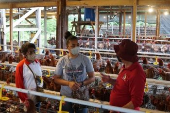 PYCH, tempat pemuda Papua kembangkan potensi diri