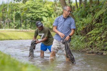 Want to change polluting ways? Show by example