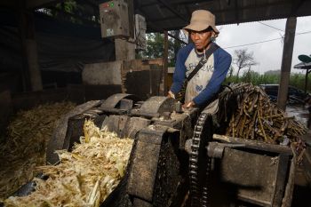 Penggilingan Tebu Elektrik