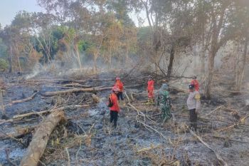 Karhutla Bengkalis, tim gabungan berjibaku padamkan api