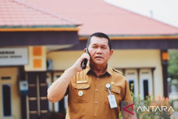 1.800 ekor sapi dikirim dari NTT untuk penuhi kebutuhan warga Batam