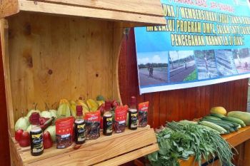 Riau tuan rumah penyelenggara Nasional Halal Fair 2023