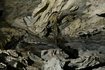 Peneliti temukan 35 gua di Gunung Batu Benau  Kaltara-Kaltim
