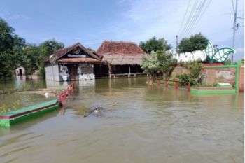 Satu desa di Pati masih terdampak banjir