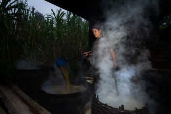 Permintaan Gula Tebu Naik Jelang Ramadhan
