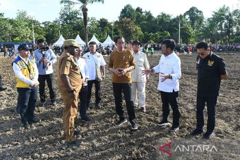 Presiden siapkan lahan 10 ribu hektare lahan jagung di  Papua