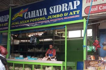Harga ayam potong di Makassar melonjak  jelang Ramadhan