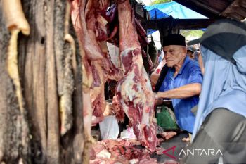 Masa "meugang" Ramadhan 1444 H di Sabang sembelih 50 sapi dan dua kerbau