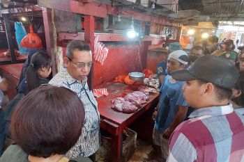 Sorong berkomitmen sediakan stok daging sapi dari NTT