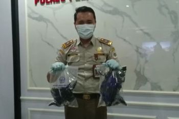 Penyelundupan puluhan gagak hitam untuk ritual mistik digagalkan polisi