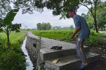 Pemkot Mataram mempercepat bangun agrowisata "Penan Paradise"