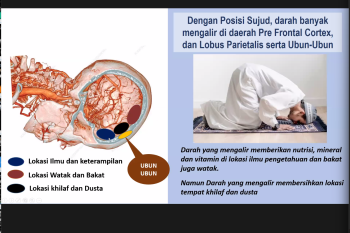Posisi sujud bantu alirkan darah berisi nutrisi pada otak