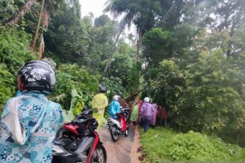 Enam kecamatan di Agam dilanda pohon tumbang, banjir dan longsor