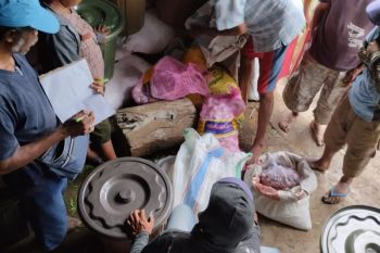 Nagekeo dukung produktivitas petani lewat koperasi produsen