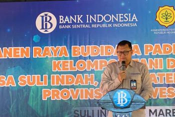 BI sebut PDRB Sulteng meningkat 17,74 persen ditopang sektor industri