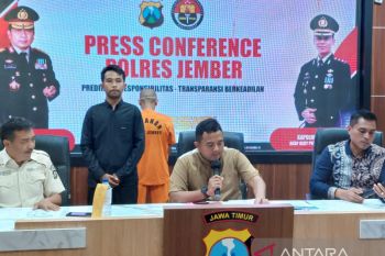 Pengepul jadi tersangka penyelundupan benih lobster ke Singapura