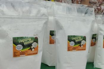 Hilirisasi produk perkuat industri pengolahan daerah