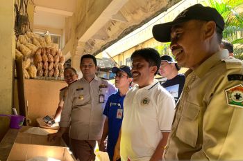 Karantina Pertanian sebut 12 bahan pangan pokok di Sultra terpantau stabil