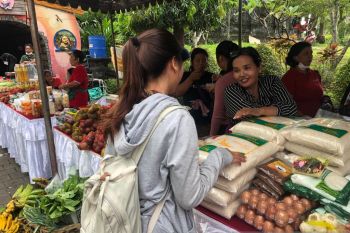 Bali dapat pasokan 500 ton beras dari NTB untuk bantuan pangan