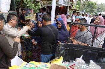 Bupati Rezita tinjau pasar murah di Peranap