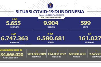 Satgas: Angka sembuh COVID-19 bertambah 154 orang