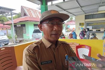 Harga cabai di Palangka Raya mulai turun