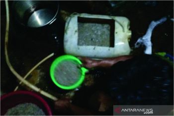 Ikan rinuak jadi langka di Danau Maninjau Agam dampak airnya yang tercemar