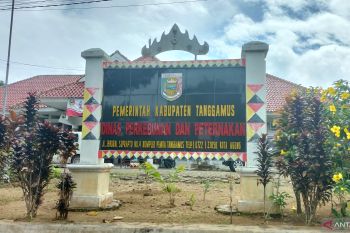 Disbunnak Tanggamus sebut harga kakao mencapai Rp30 ribu per kg