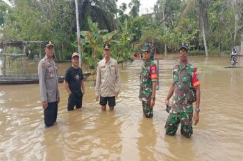 Bencana banjir di Kapuas Tengah meluas hingga Timpah