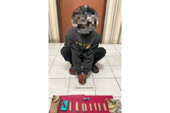 Polres Agam tangkap seorang petani edarkan ganja