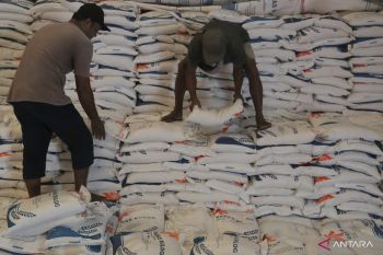 Bulog Ternate jamin ketersediaan beras hingga 2024