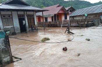 19 rumah warga di Kabupaten Tojo Una-Una terendam banjir