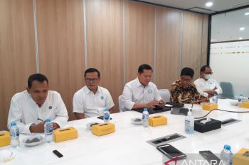 MTI memberi rekomendasi strategi manajemen terkait transportasi udara saat mudik
