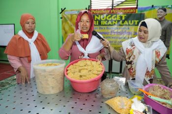 Warga pesisir Lamongan dilatih pembuatan nuget ikan laut