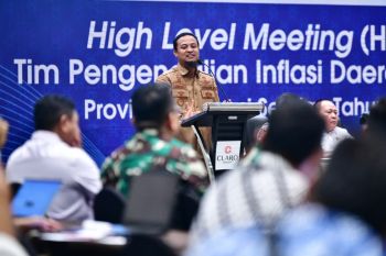 Gubernur Sulsel berdayakan produktivitas beras dan serapan ke Bulog