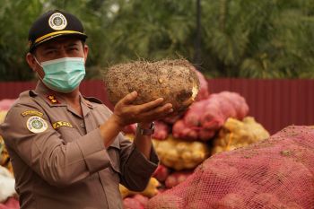 Riau ekspor 50 ton perdana ke China