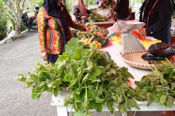 Hikun Agri Park Tabalong berkembang jadi kawasan wisata edukasi