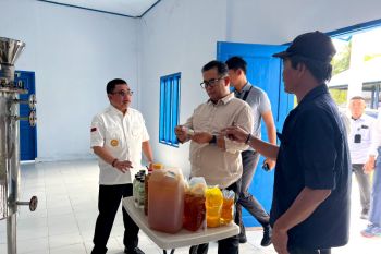 Gubernur dorong minyak Mandar menjadi produk unggulan Sulbar