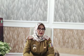 Jelang Idul Fitri, ketersediaan ayam dan telur di Lampung cukup