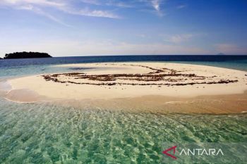 Flotim  manfaatkan Festival Bale Nagi untuk promosi wisata bahari