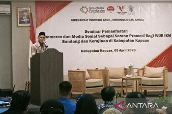 Kementerian Perindustrian tingkatkan kapasitas WUB IKM di Kapuas