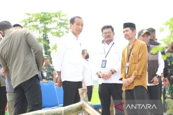 Presiden Jokowi: Impor beras perkuat cadangan Bulog hadapi musim kering