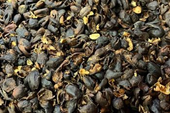 Teh kulit kopi Temanggung diminati konsumen Malaysia