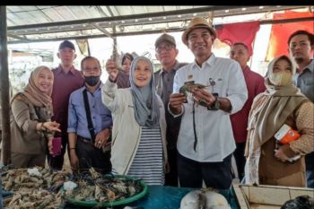 Balai Karantina Pertanian Palembang gelar survei sembako jelang Lebaran