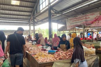 Harga ayam potong di Pasar Tani Bandarlampung stabil