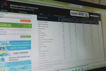 Data BPS, jumlah klinik Keluarga Berencana di Sumsel berkurang