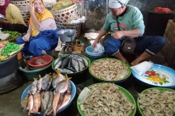Disdag Mataram menyiapkan aplikasi Siperonparti retribusi pasar nontunai