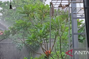 Hujan deras guyur Kota Kupang menjelang perayaan Malam Paskah